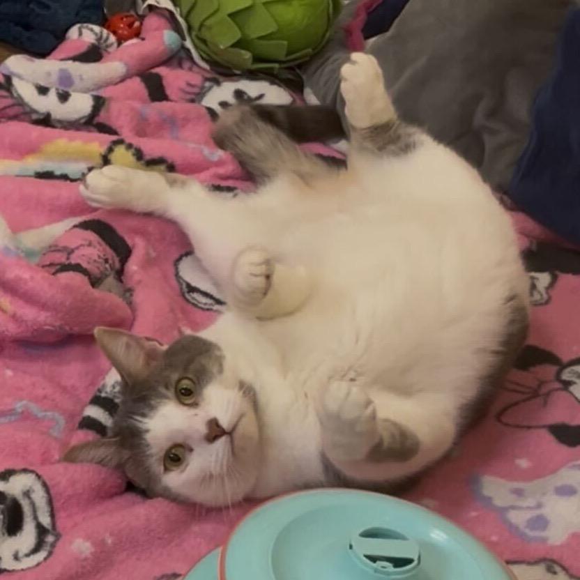 Lucy Loo — thumbnail 4