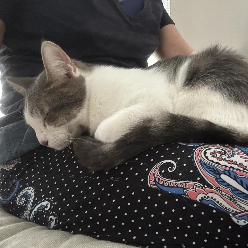 Lucy Loo — thumbnail 5