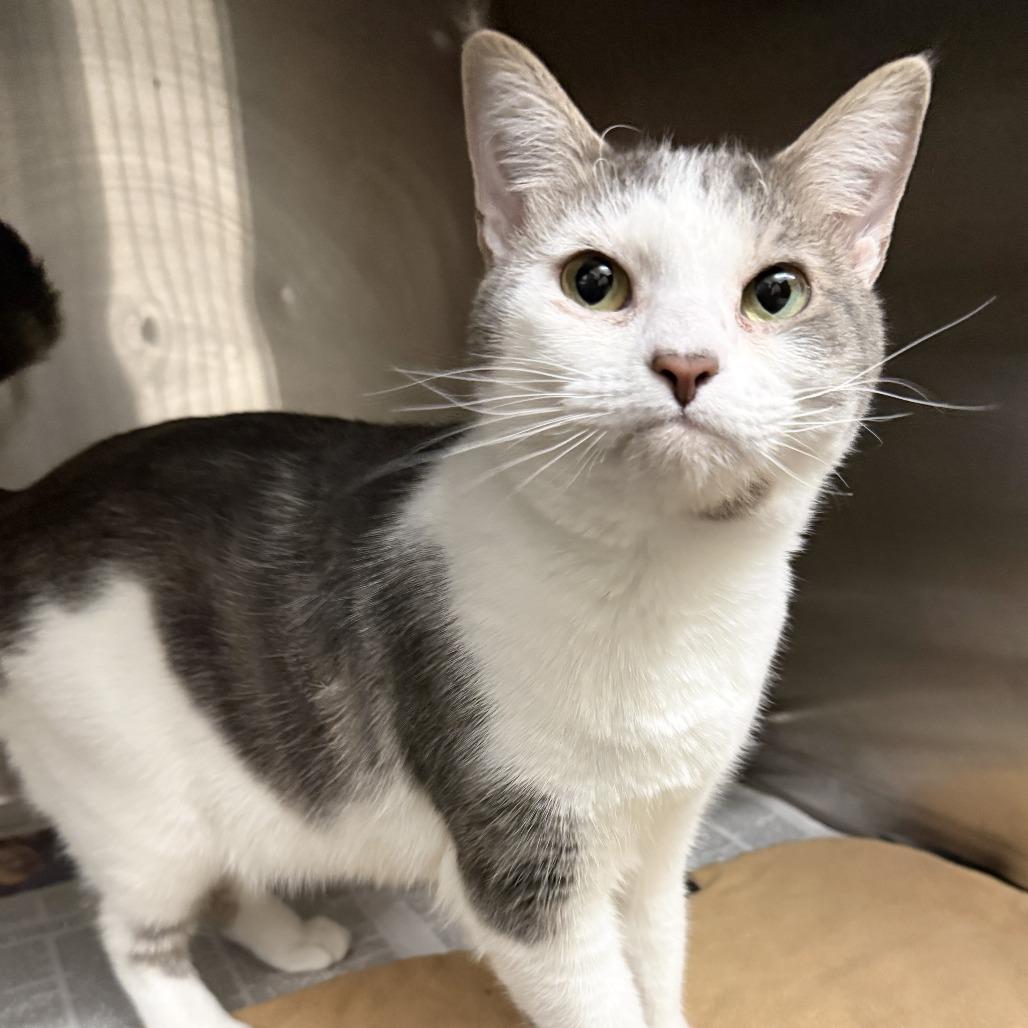 Lucy Loo — thumbnail 6