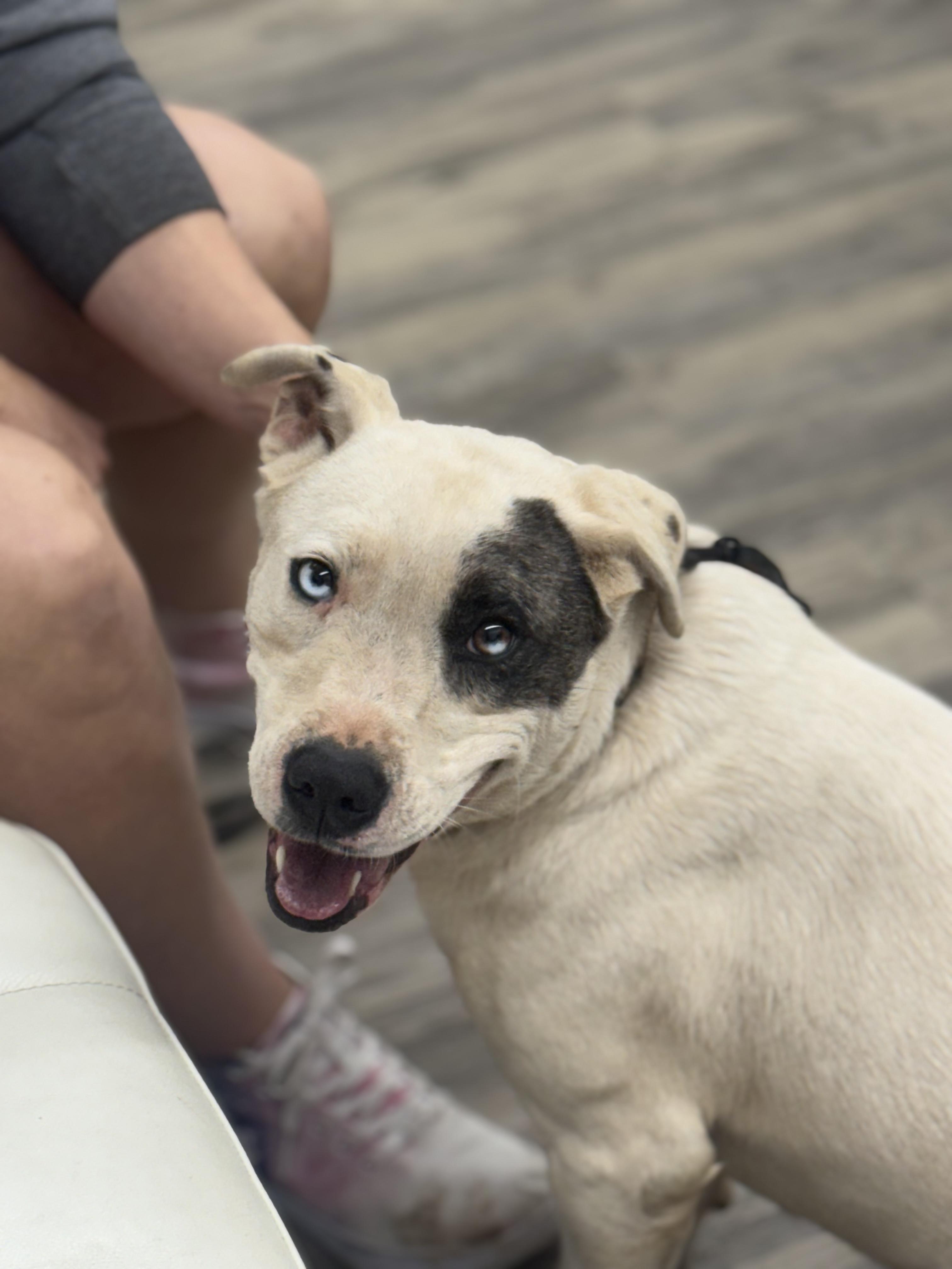 Shae 0125 — thumbnail 4