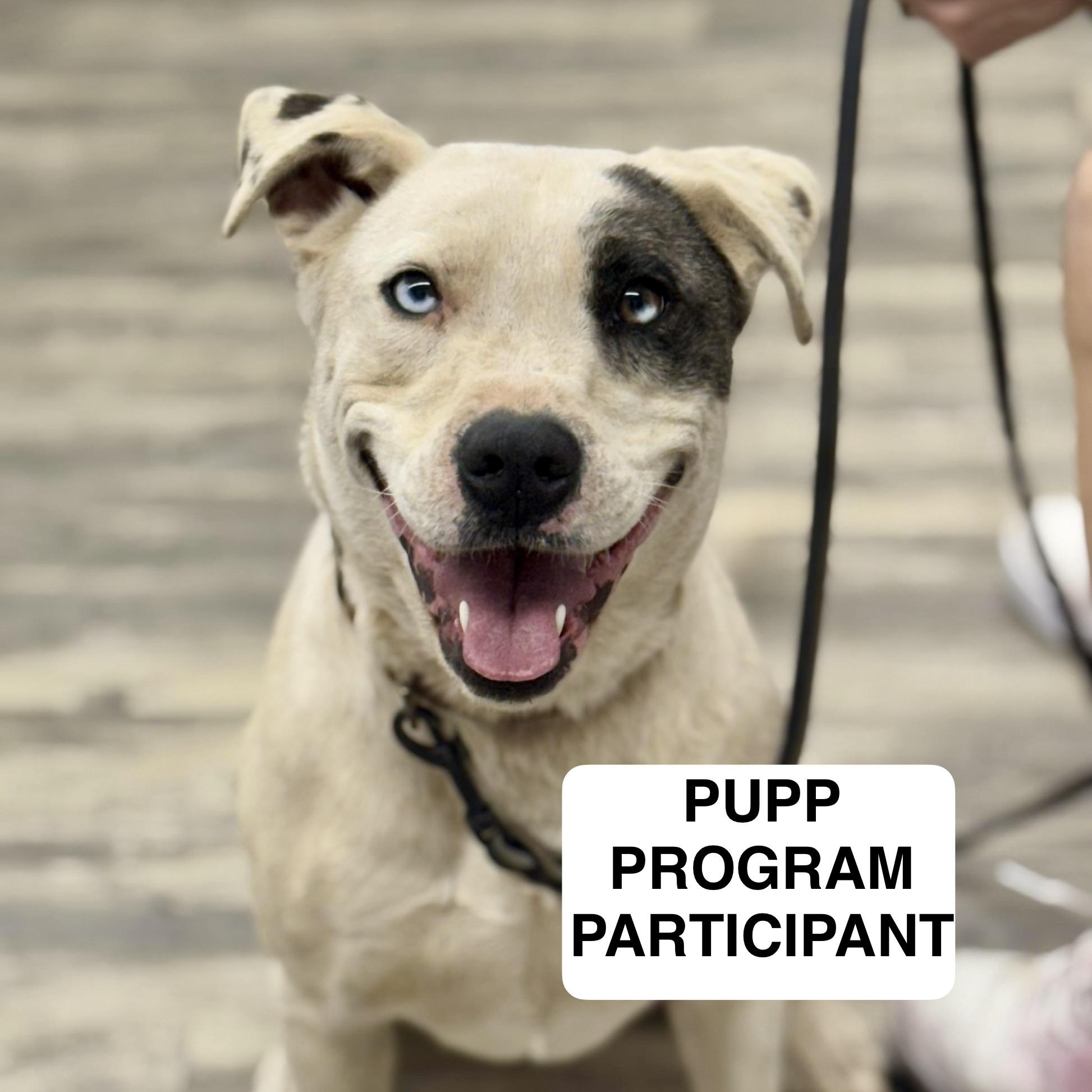 Shae 0125 — thumbnail 5