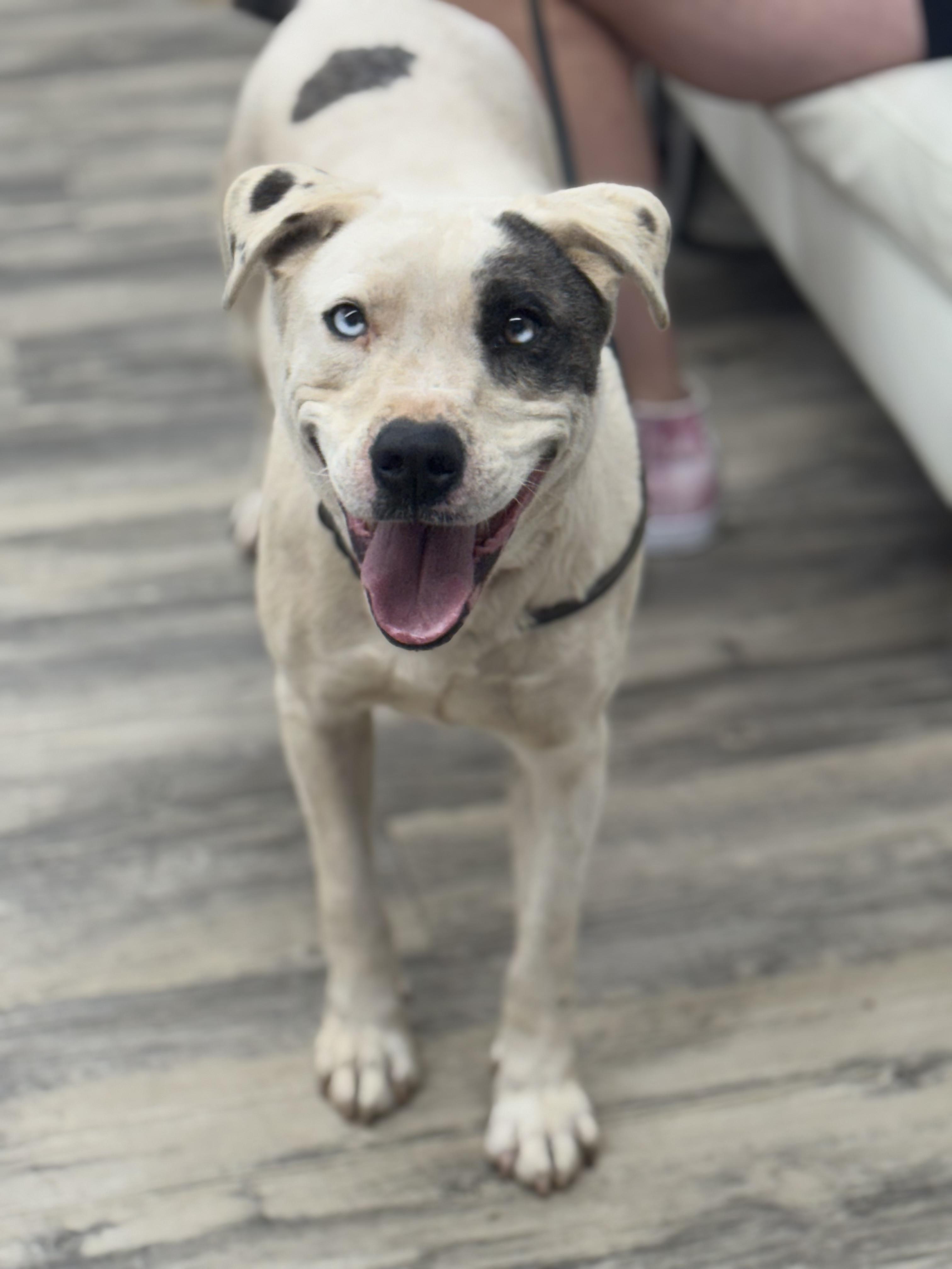 Shae 0125 — thumbnail 6