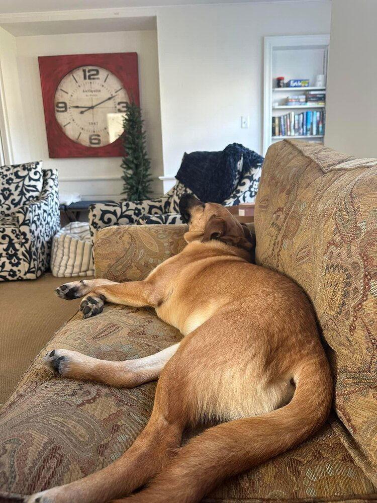 Banzainow Nellie thumbnail 2