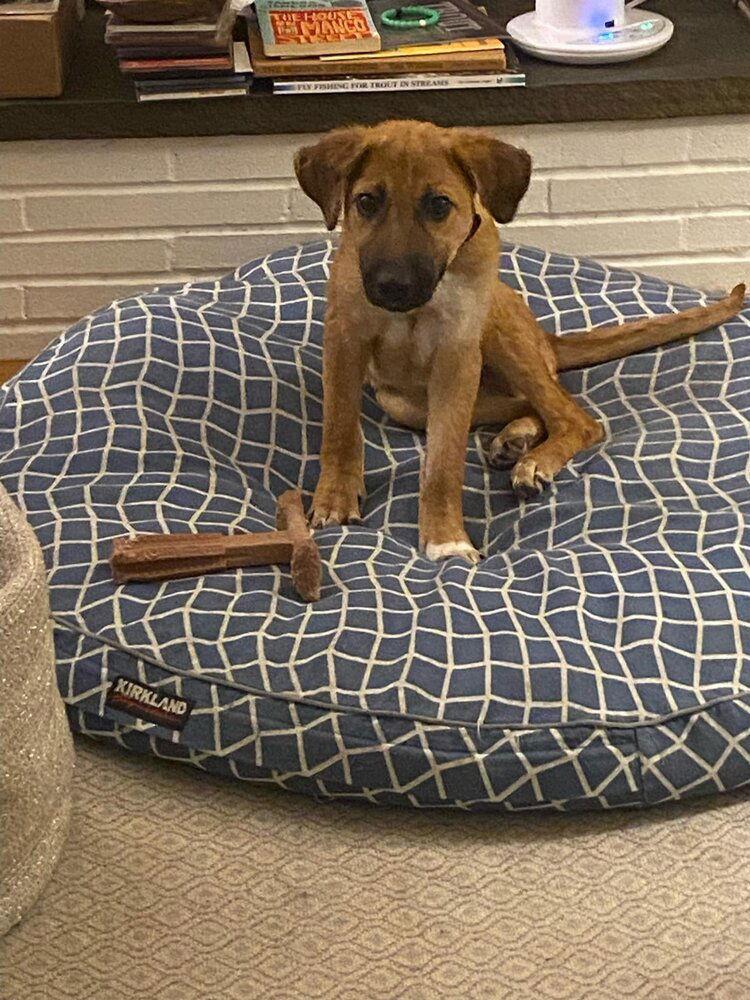 Banzainow Nellie thumbnail 3