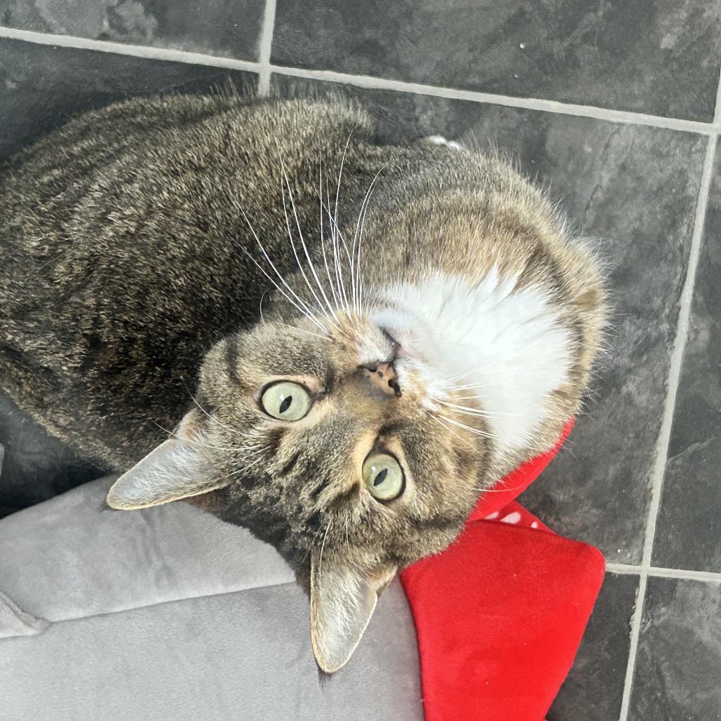 Frank — thumbnail 2