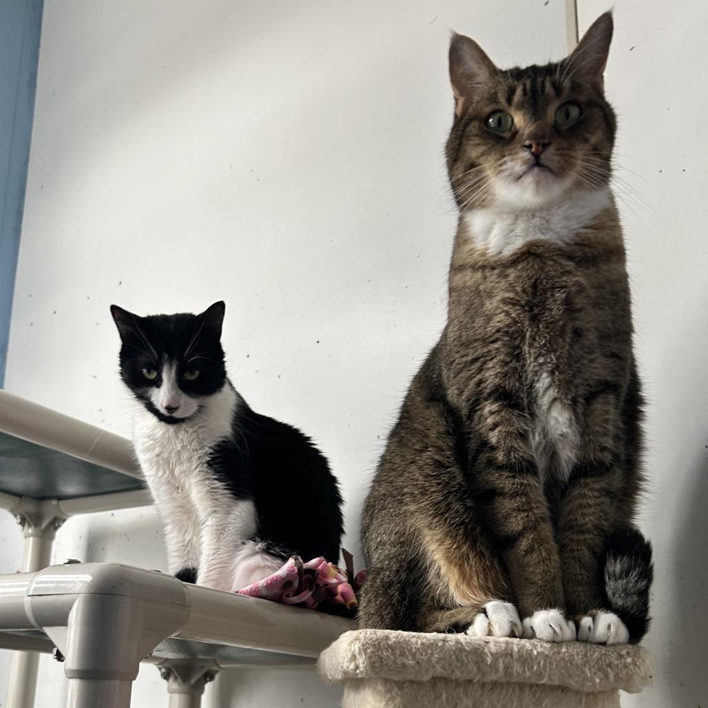 Frank — thumbnail 3