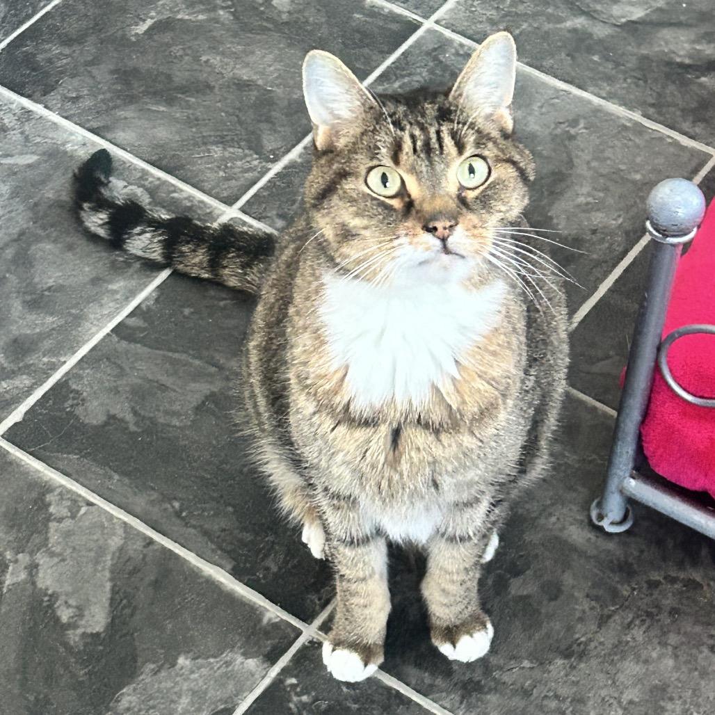 Frank — thumbnail 4