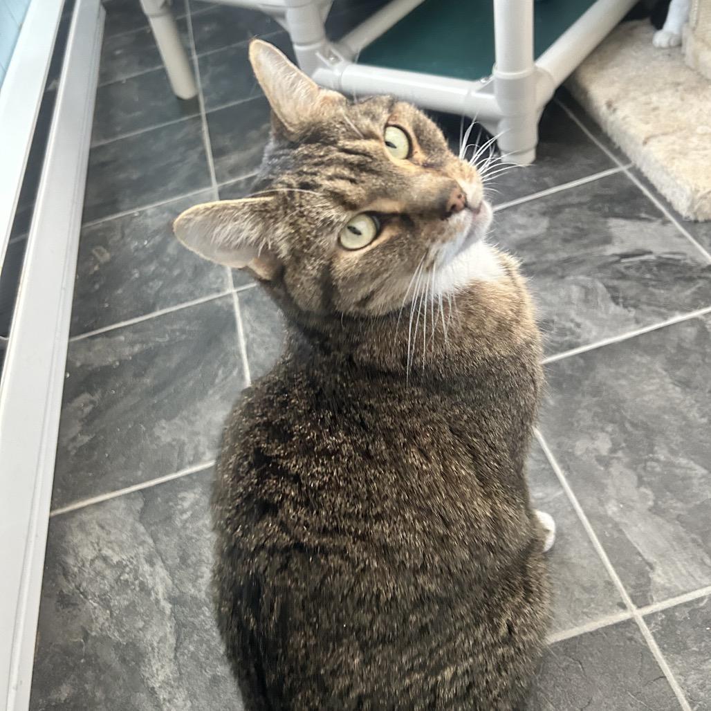 Frank — thumbnail 5