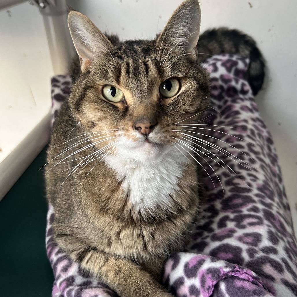 Frank — thumbnail 6