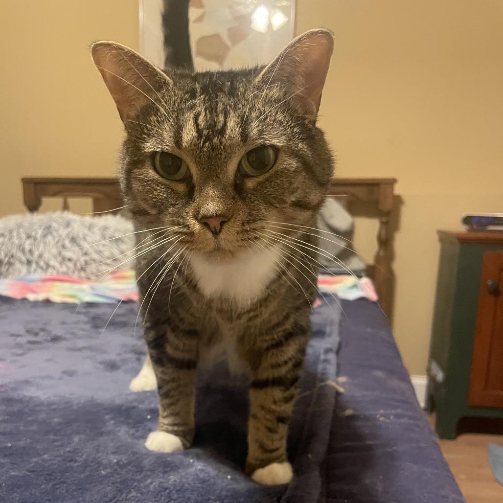 Ella — thumbnail 4