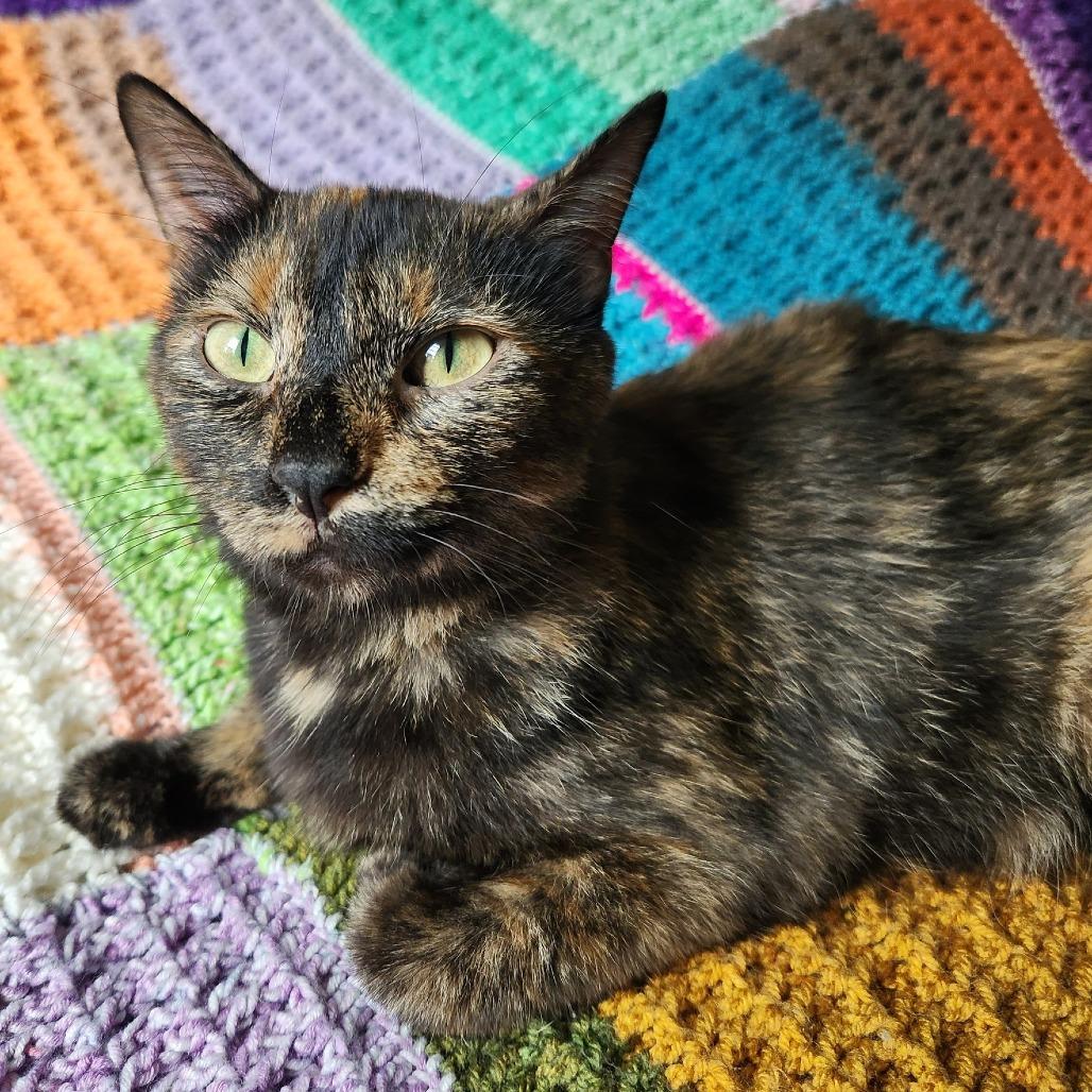 Fern — thumbnail 5