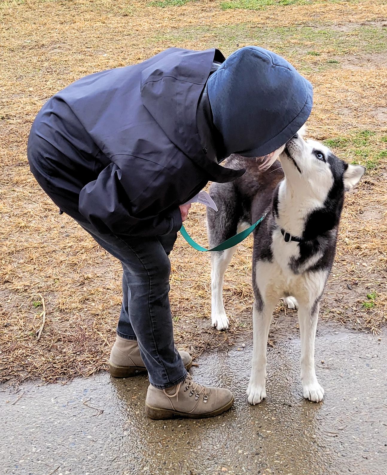 Candy, a Adopted Siberian Husky in Fredericksburg, VA image 3/6