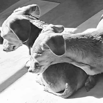 Hamm & Jena (bonded pair)