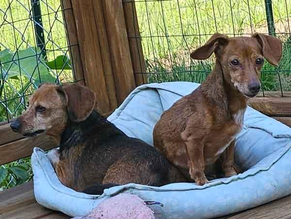 Hamm & Jena (bonded pair)