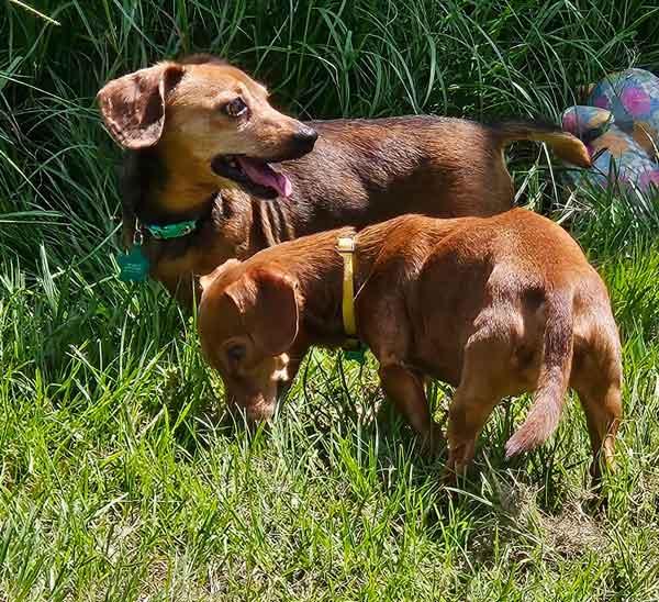 Hamm & Jena (bonded pair)