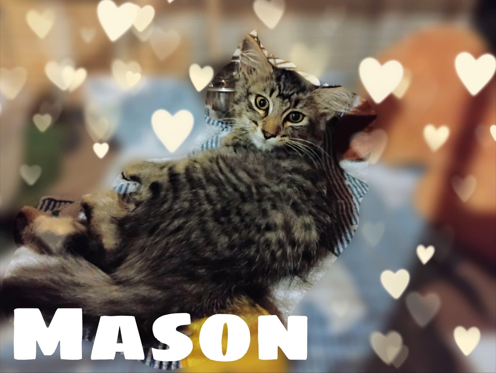 Mason