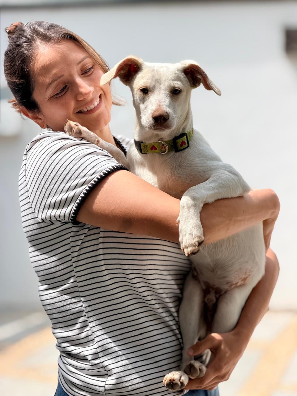 Enlarge Mochi, a Adoptable mixed breed in Manvel, TX image 2/6