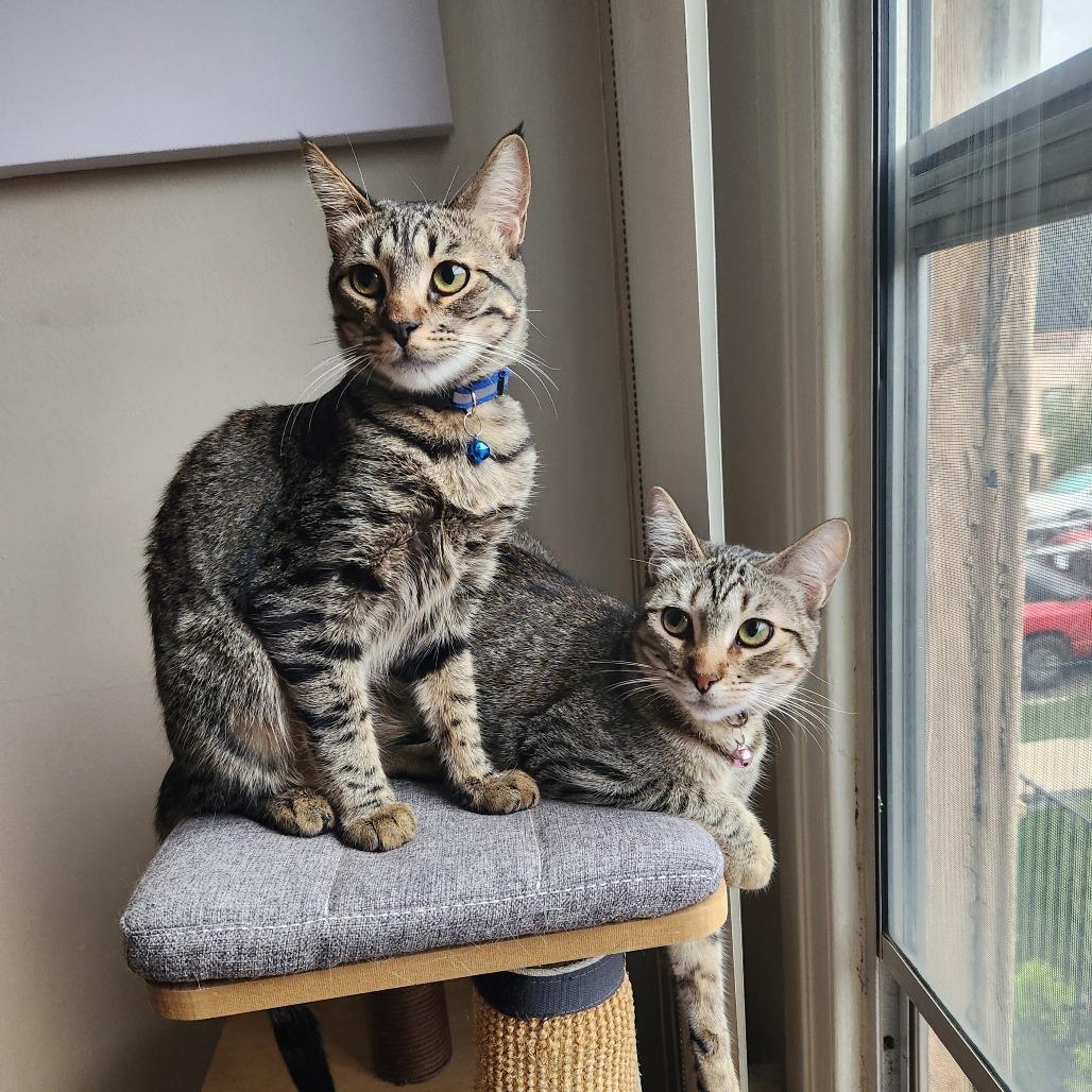 Izzy — thumbnail 4