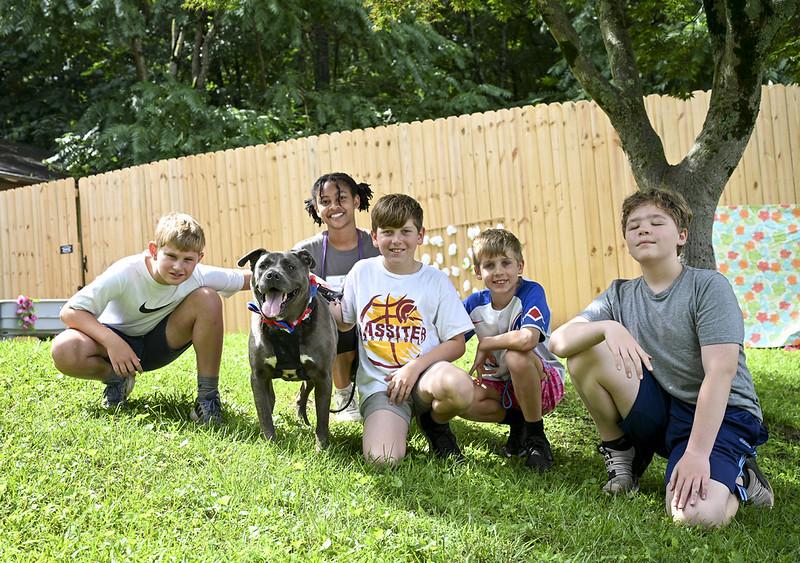 Stanley, a Adoptable mixed breed in Marietta, GA image 2/4