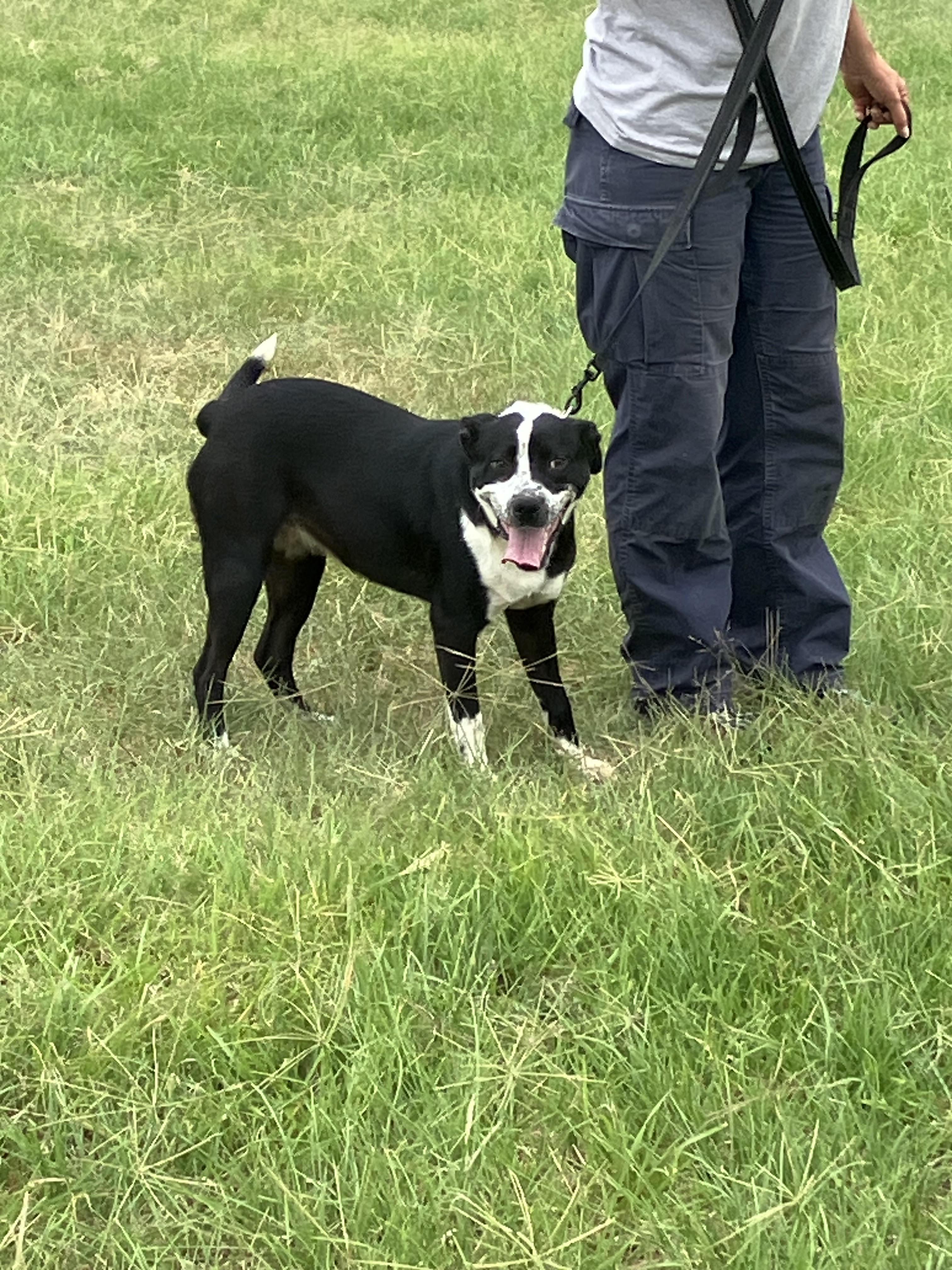 Izzy-goofy Gal thumbnail 5