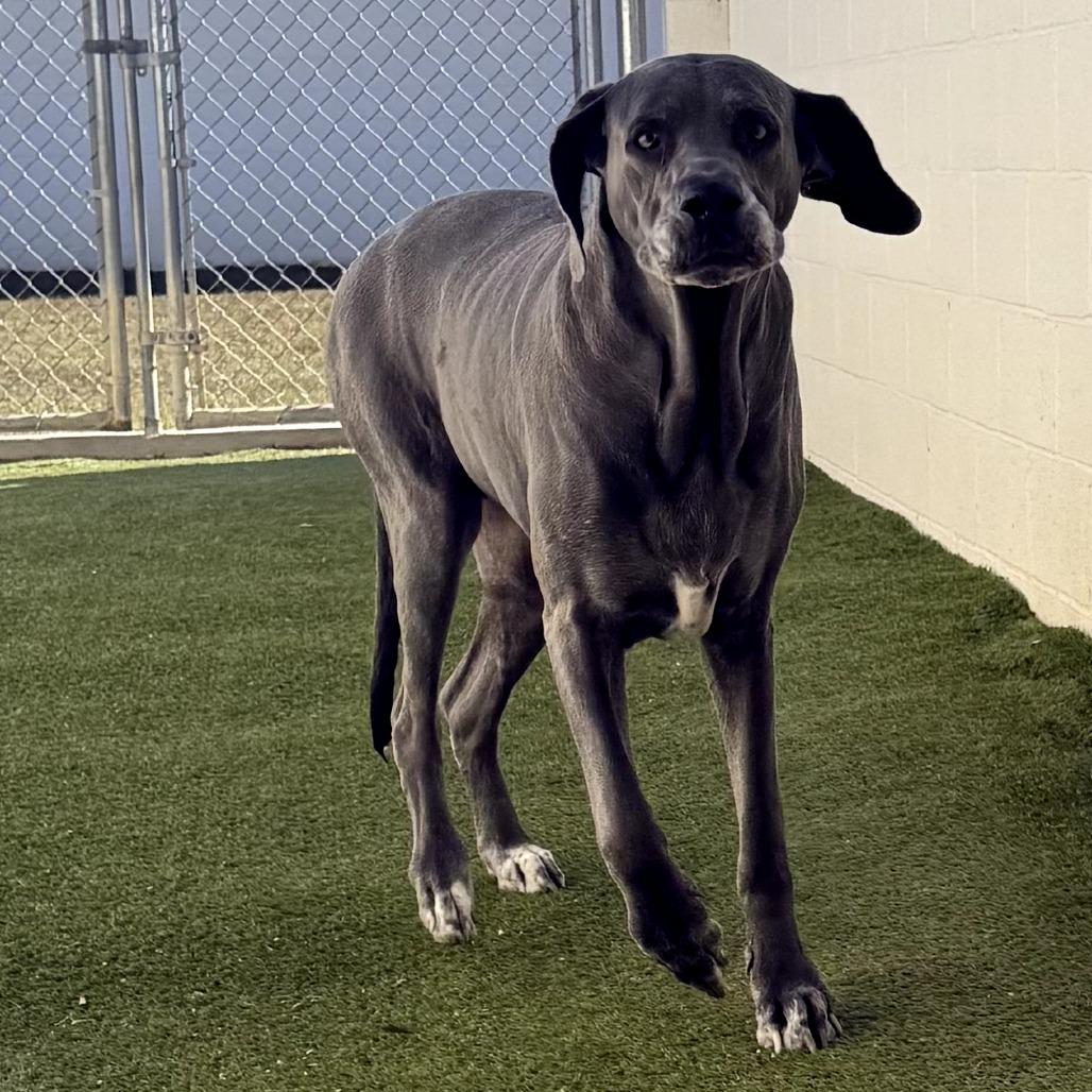 Rock Candy thumbnail 2