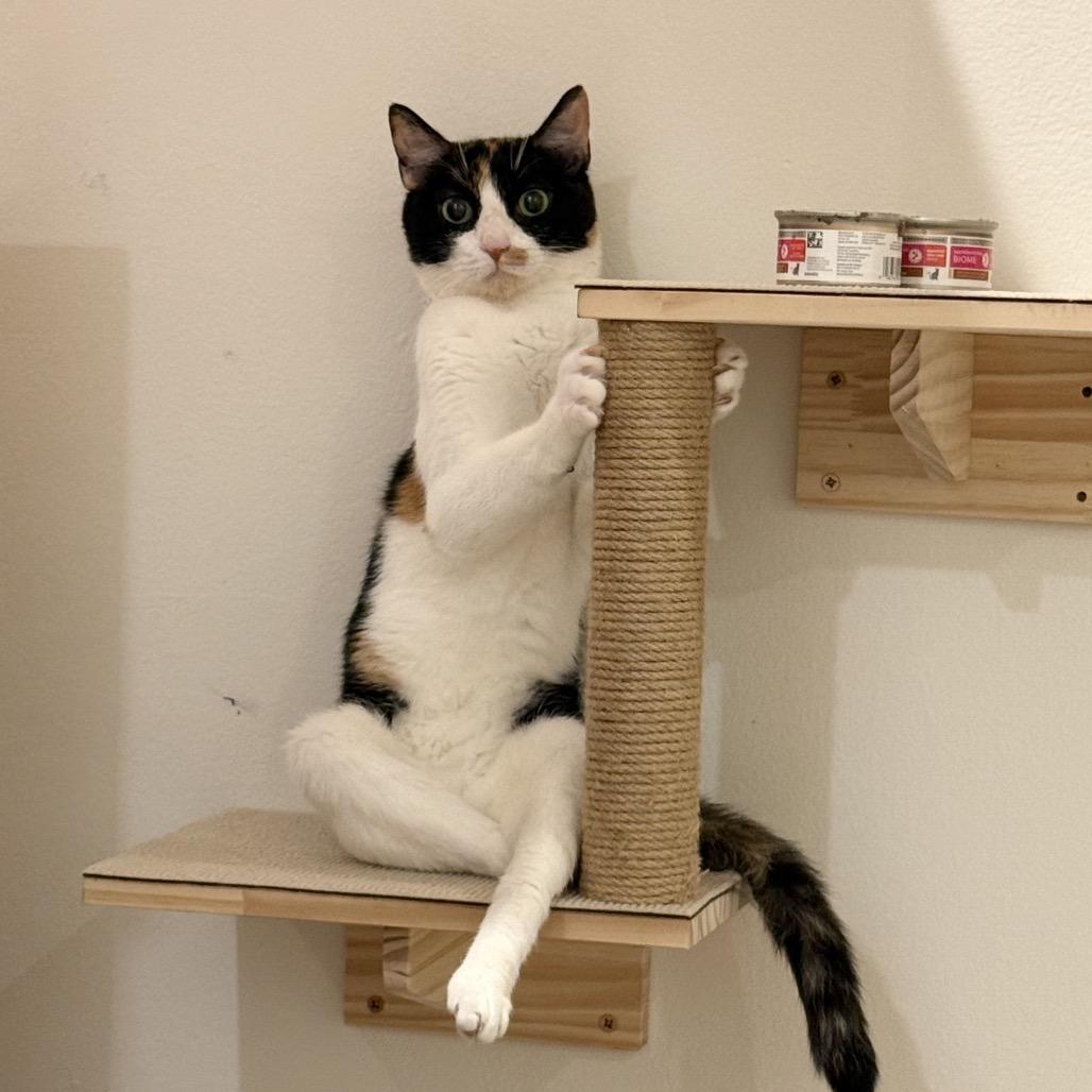 Alyssa — thumbnail 3