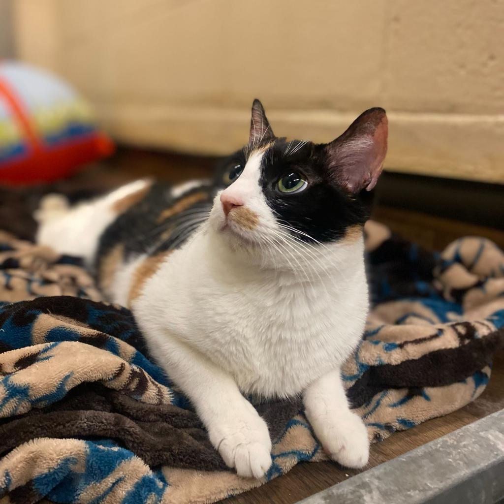 Alyssa — thumbnail 5