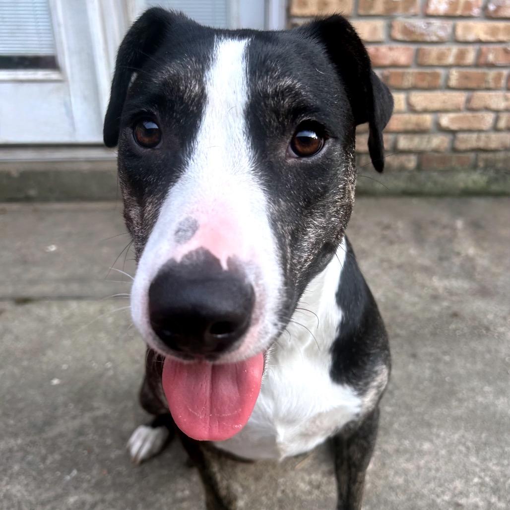 Klarah — thumbnail 3