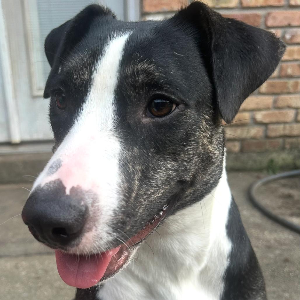 Klarah — thumbnail 4