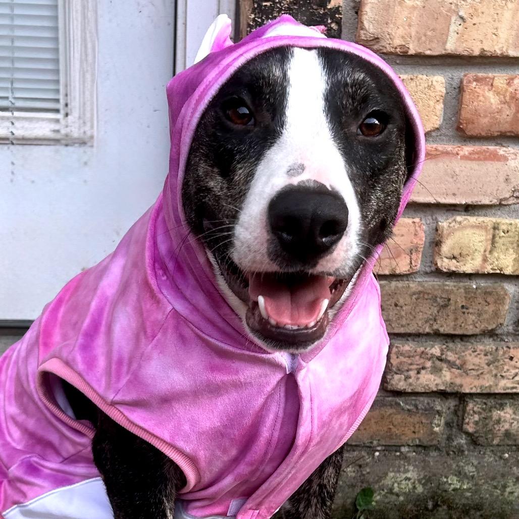 Klarah — thumbnail 6