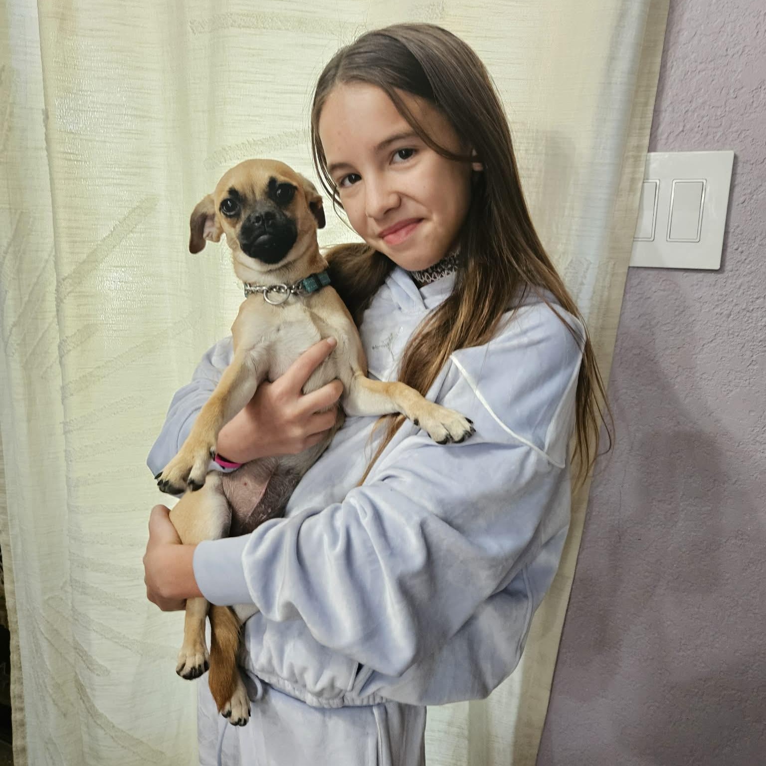 Enlarge Angie, a Adoptable mixed breed in Austin, MN image 4/6