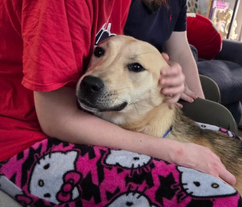 Charlotte thumbnail 2