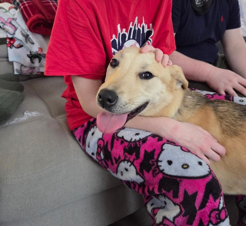 Charlotte thumbnail 4