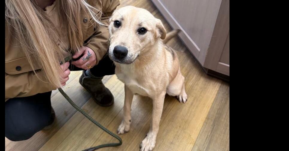 Charlotte thumbnail 6