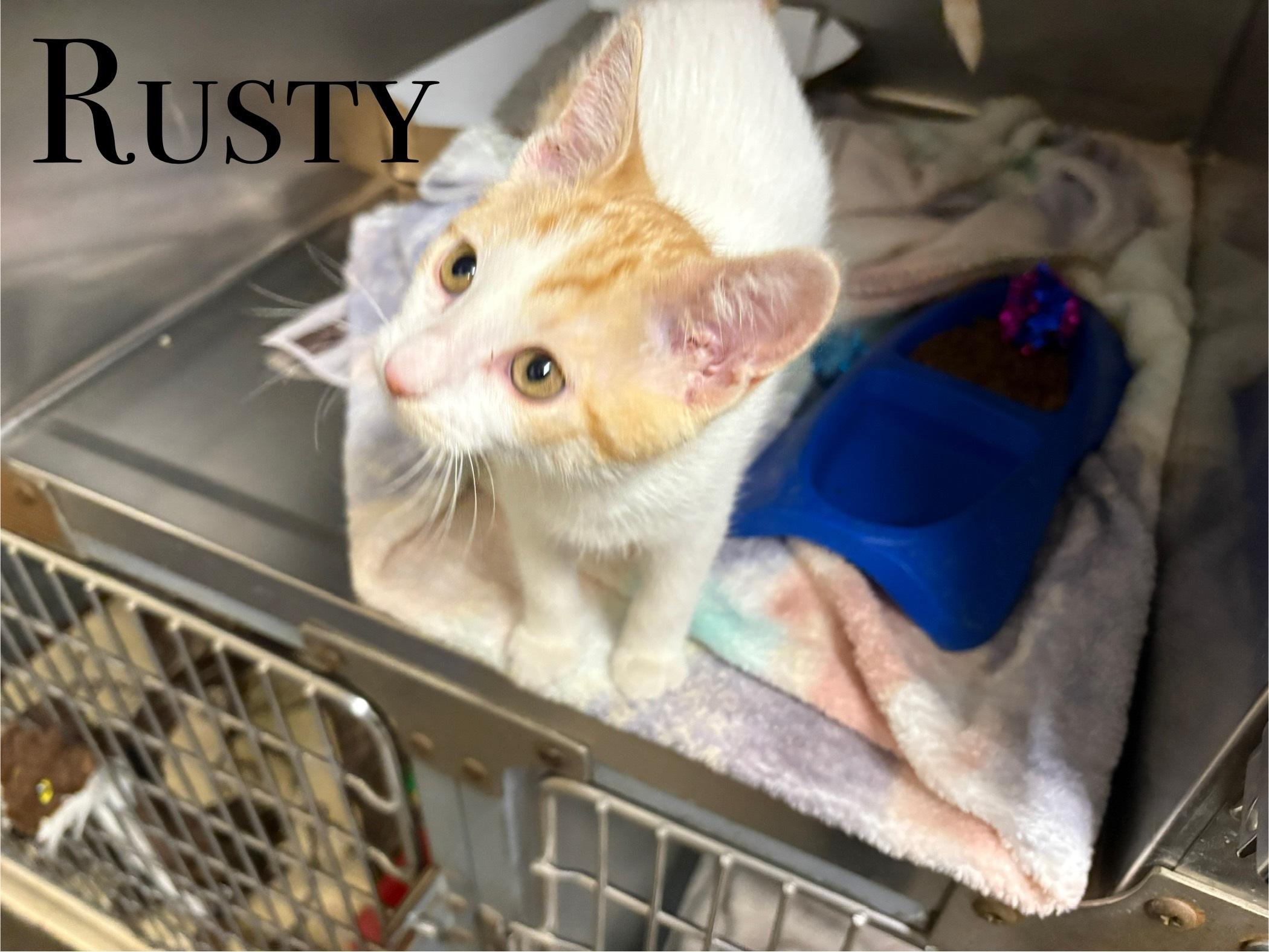 Rusty
