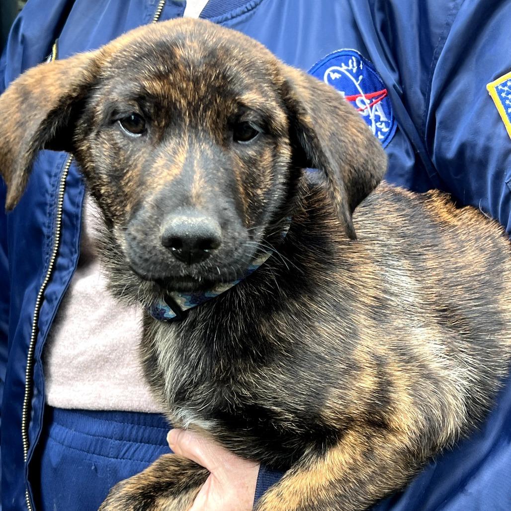 Ginger Rae — thumbnail 4