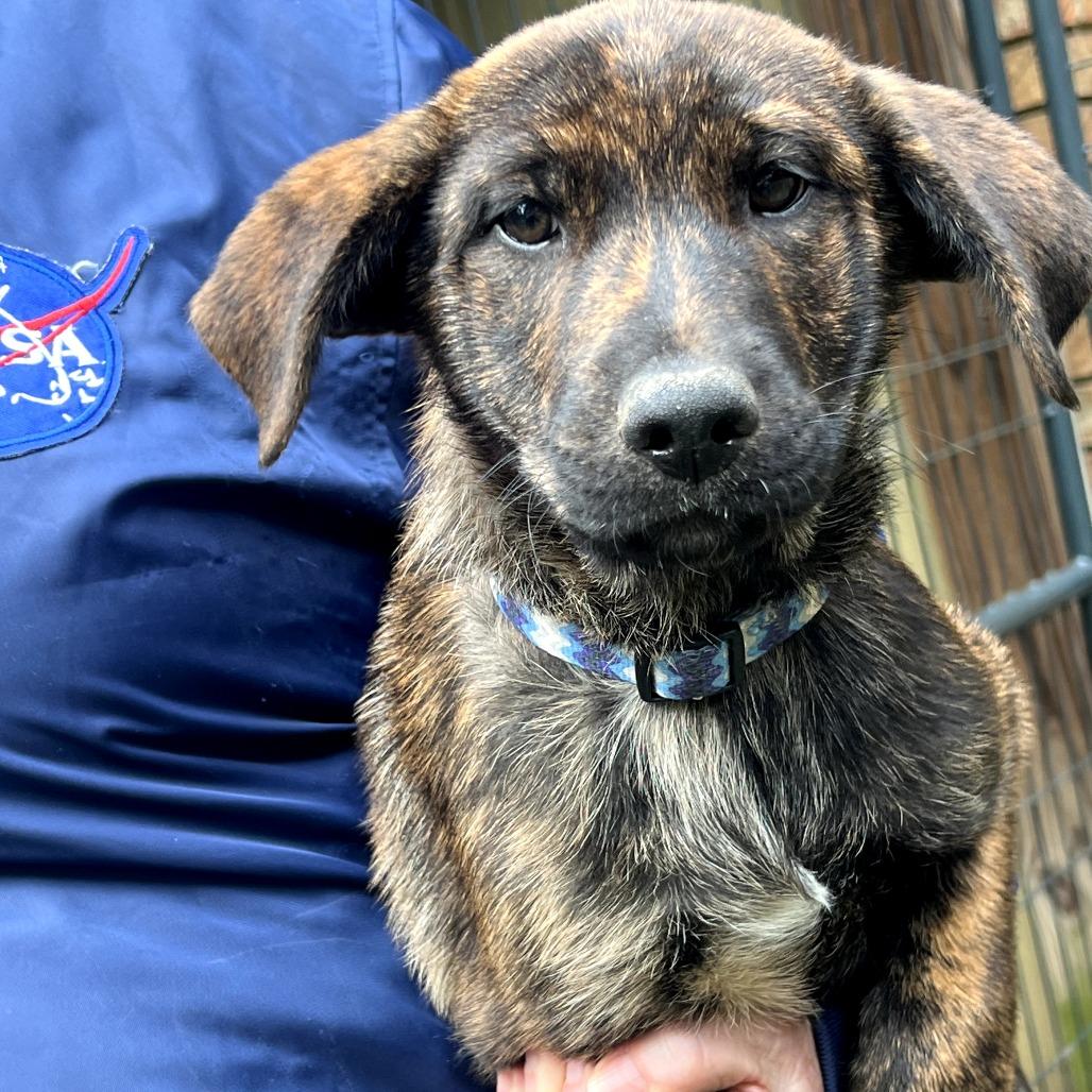 Ginger Rae — thumbnail 5