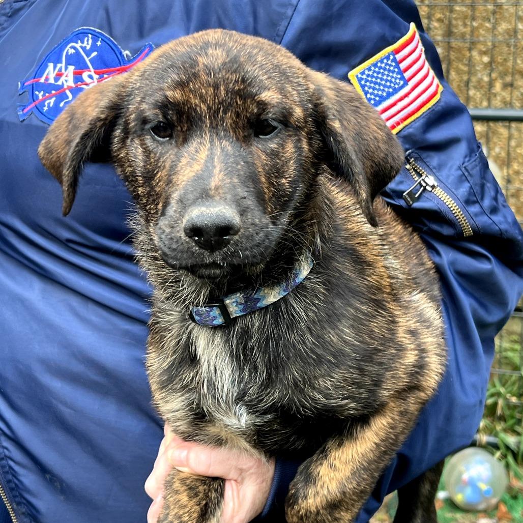 Ginger Rae — thumbnail 6