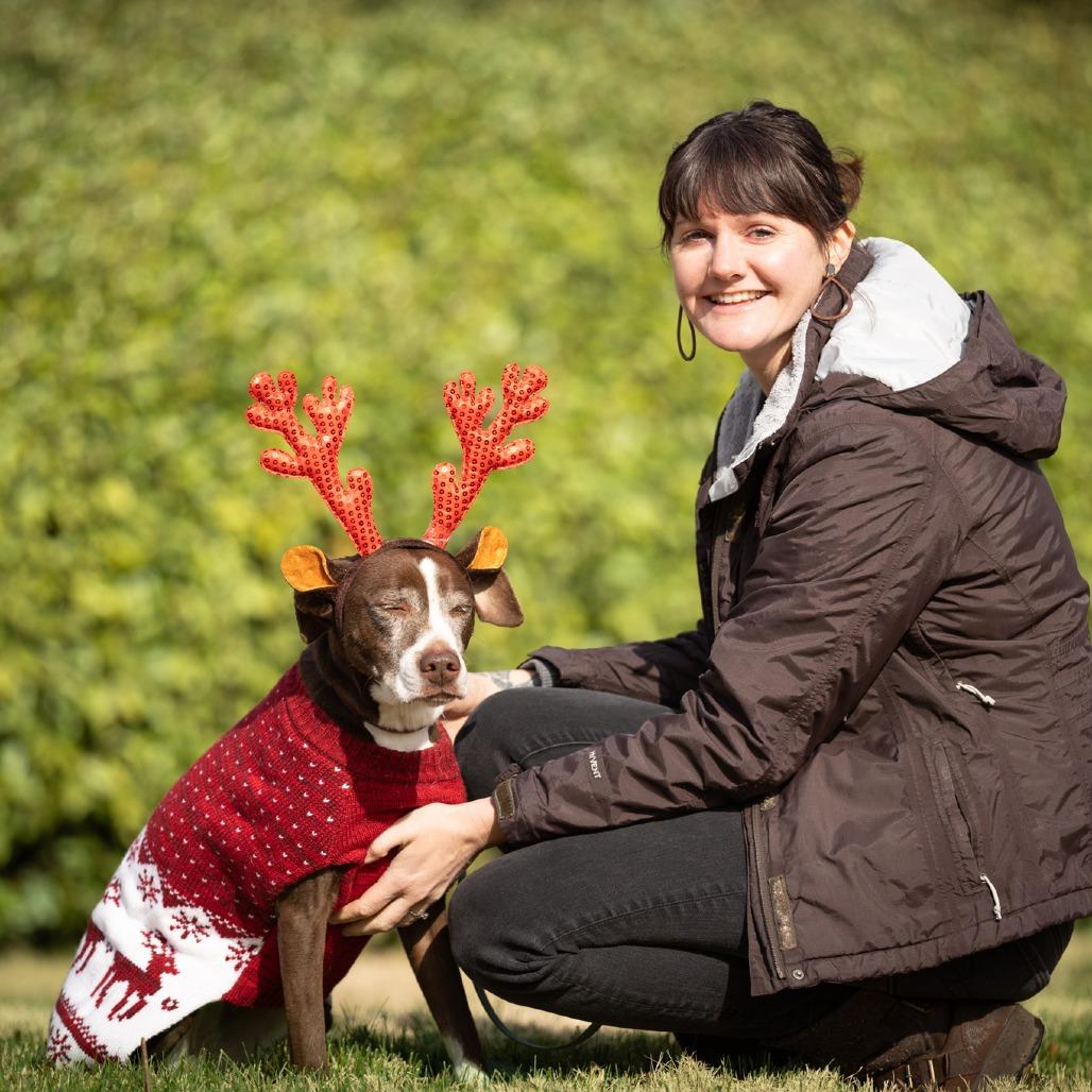Enlarge Josie, a Adoptable mixed breed in Rossville, GA image 2/6