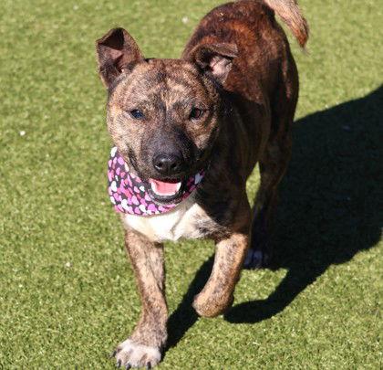 Phineas Athens thumbnail 2