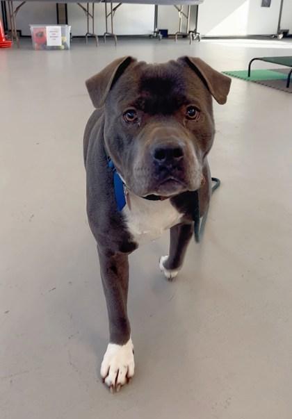 Maui — thumbnail 2