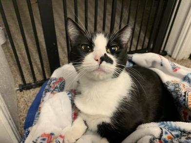 Charlie Avenue — thumbnail 2