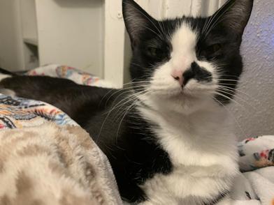 Charlie Avenue — thumbnail 4