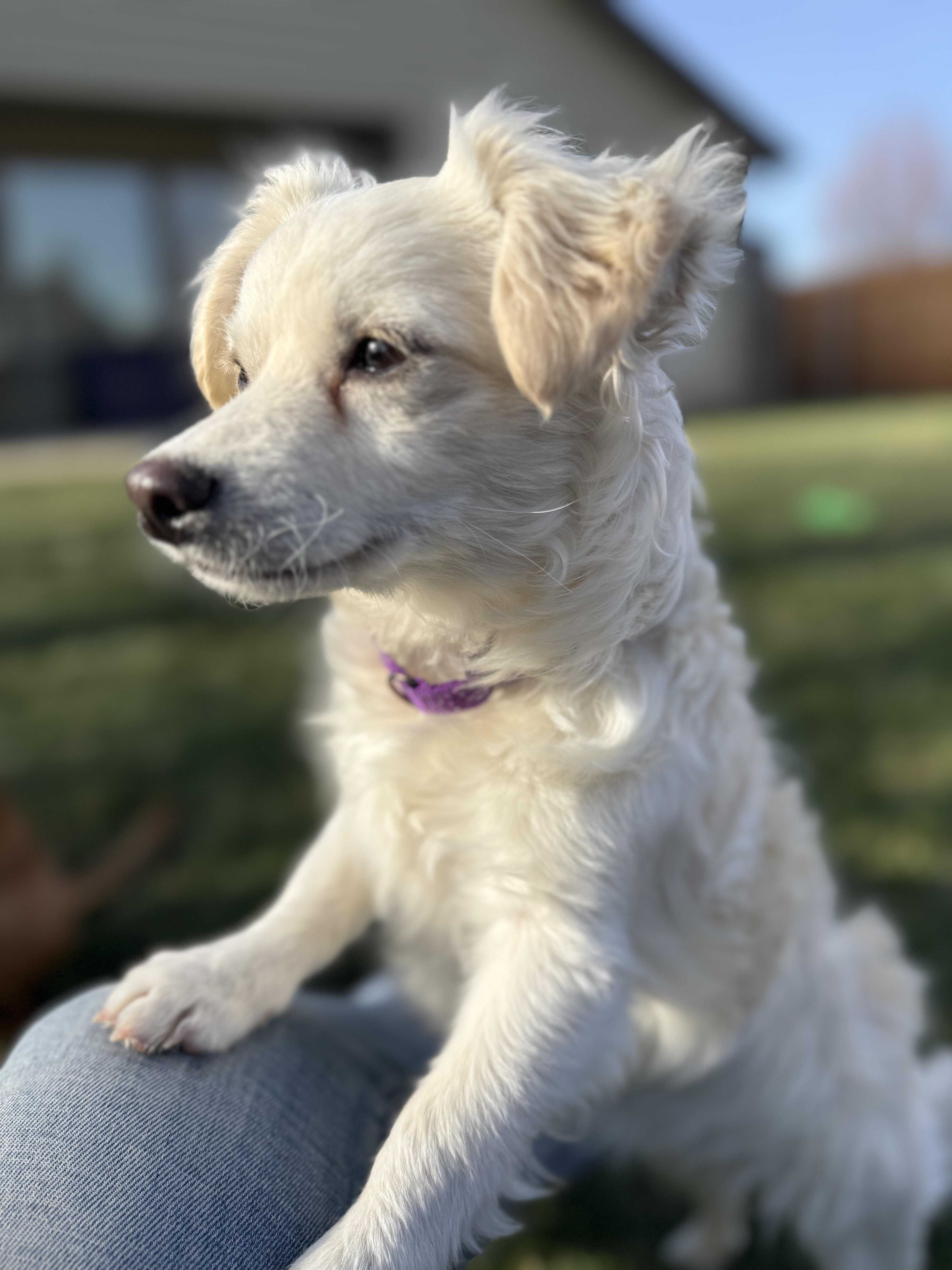 Tilly — thumbnail 3