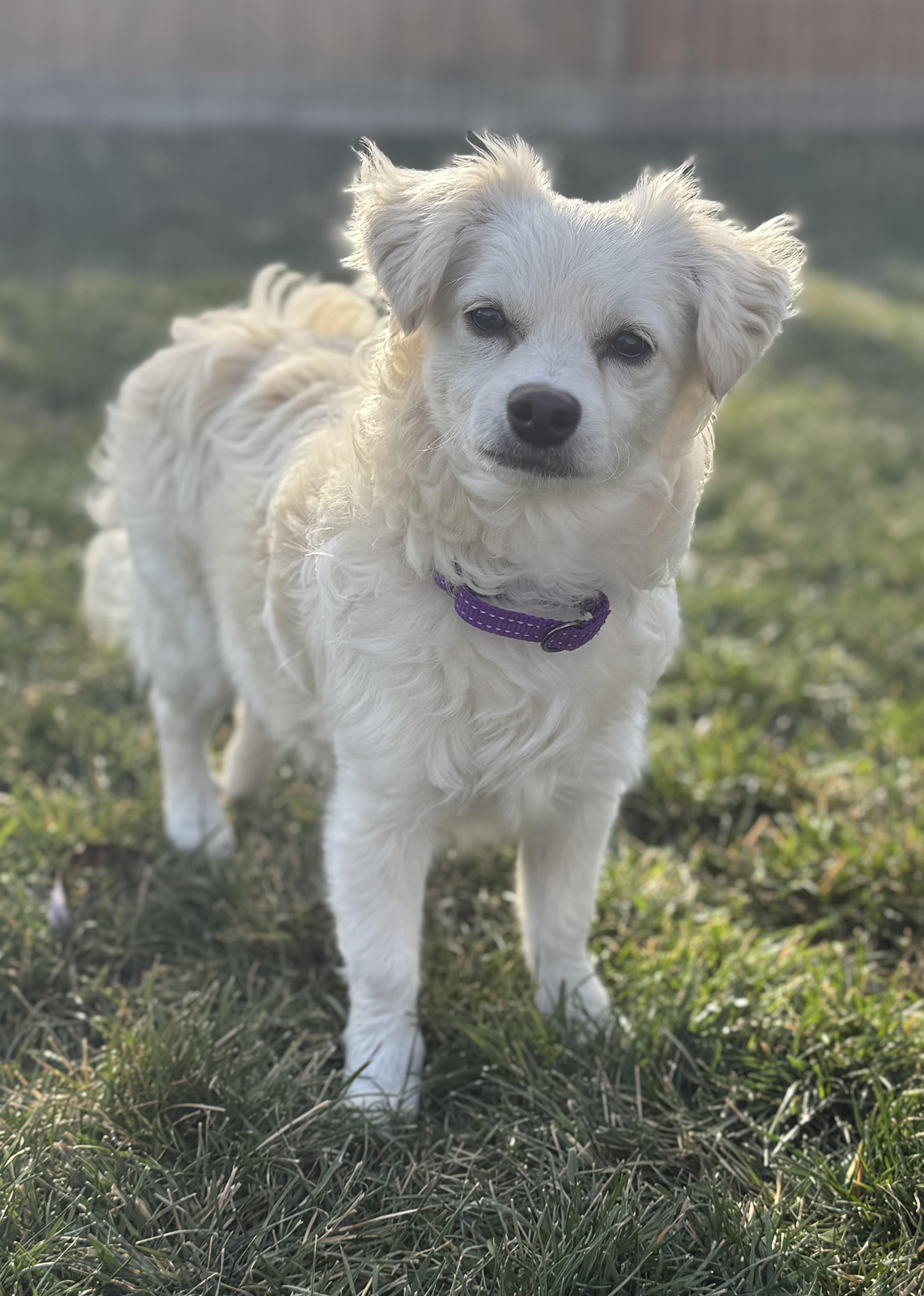 Tilly — thumbnail 4