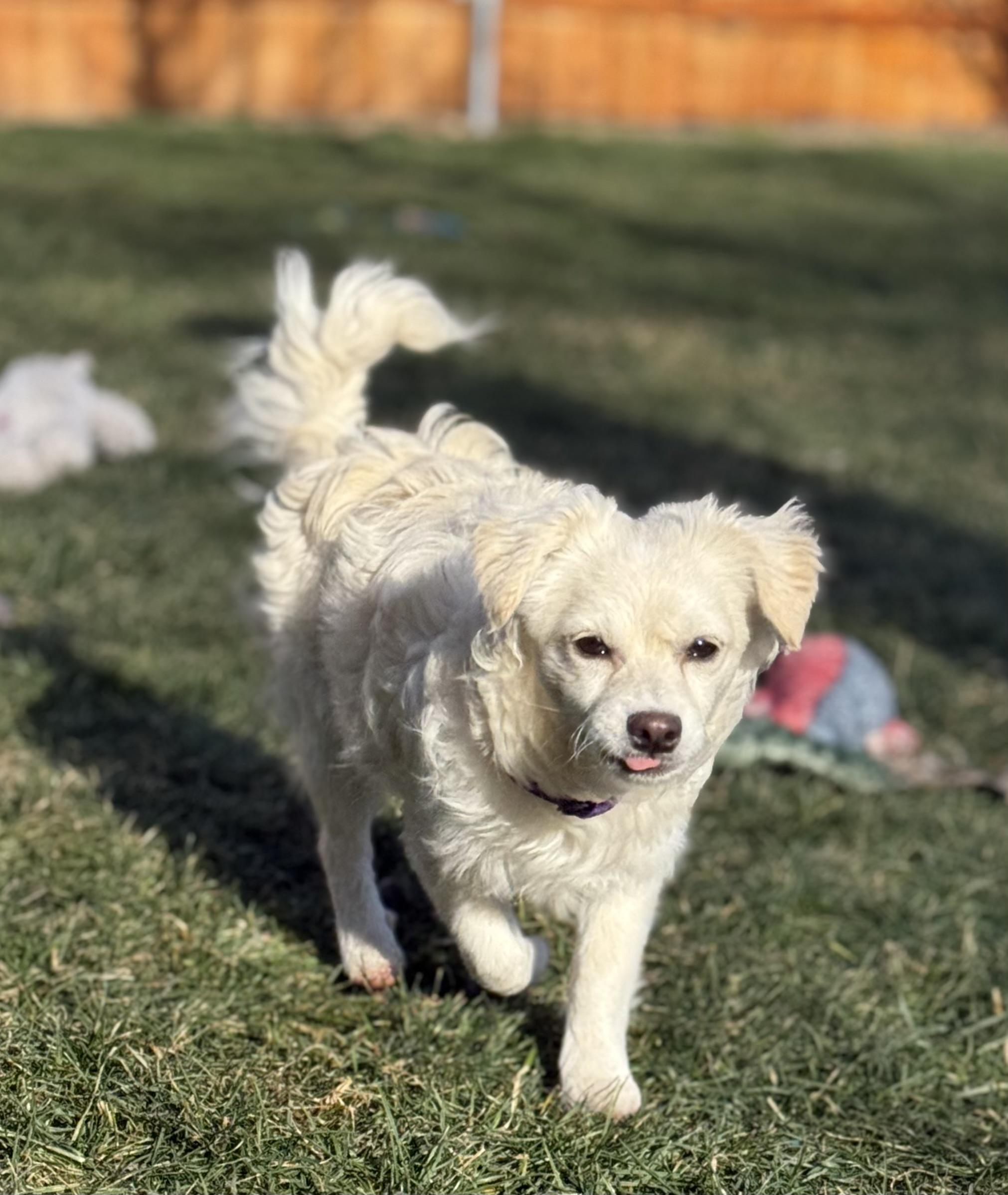 Tilly — thumbnail 5