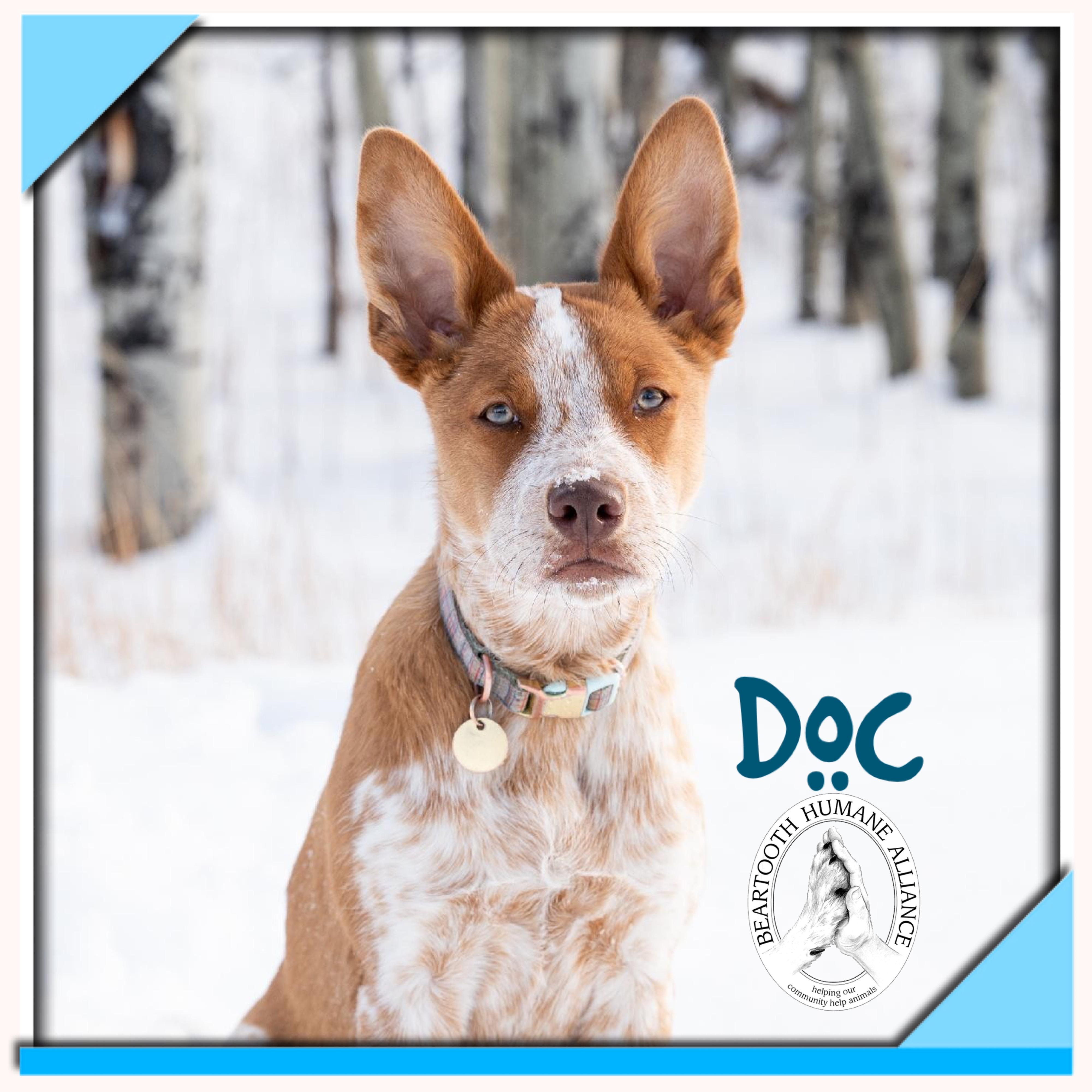 Doc photo 3