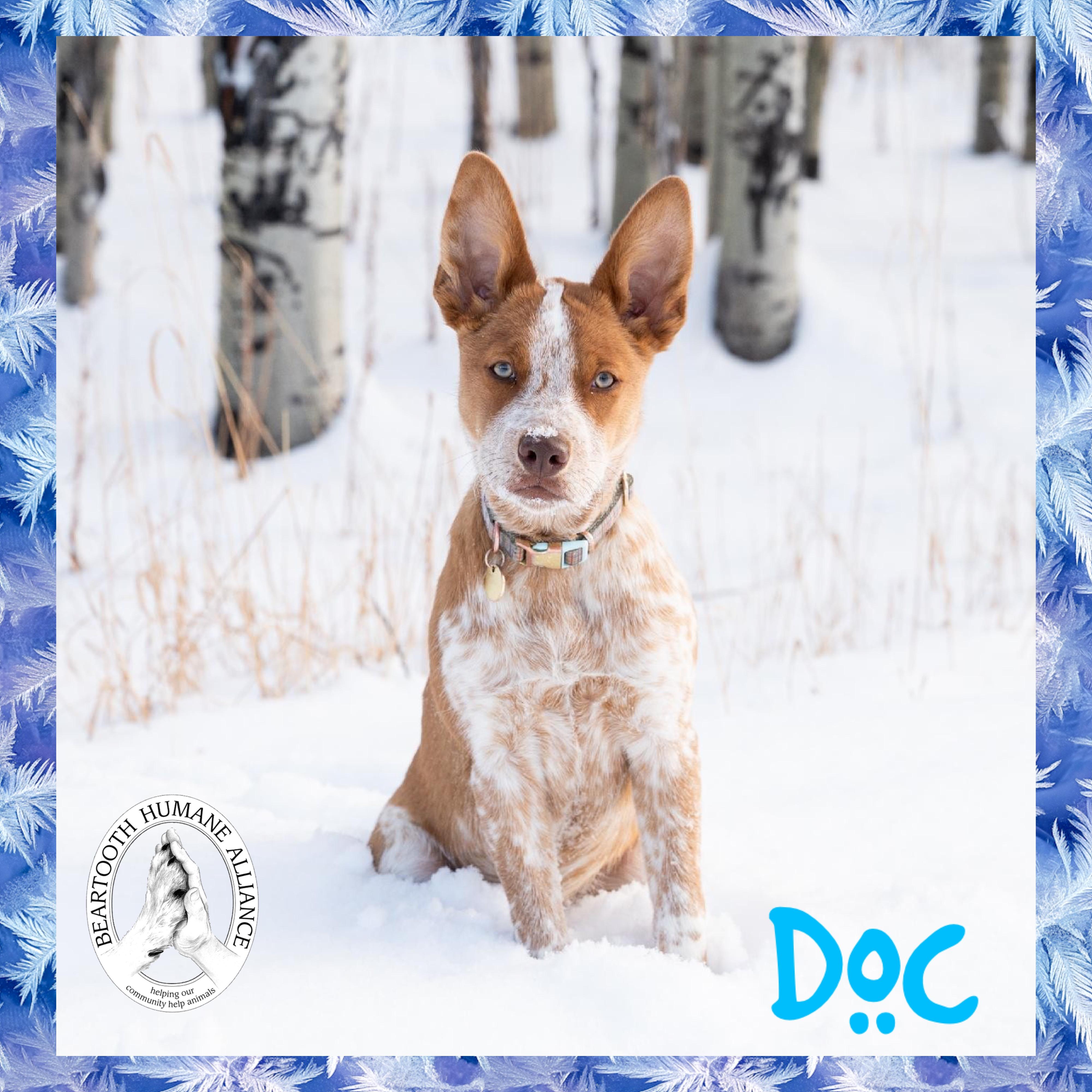 Doc photo 2