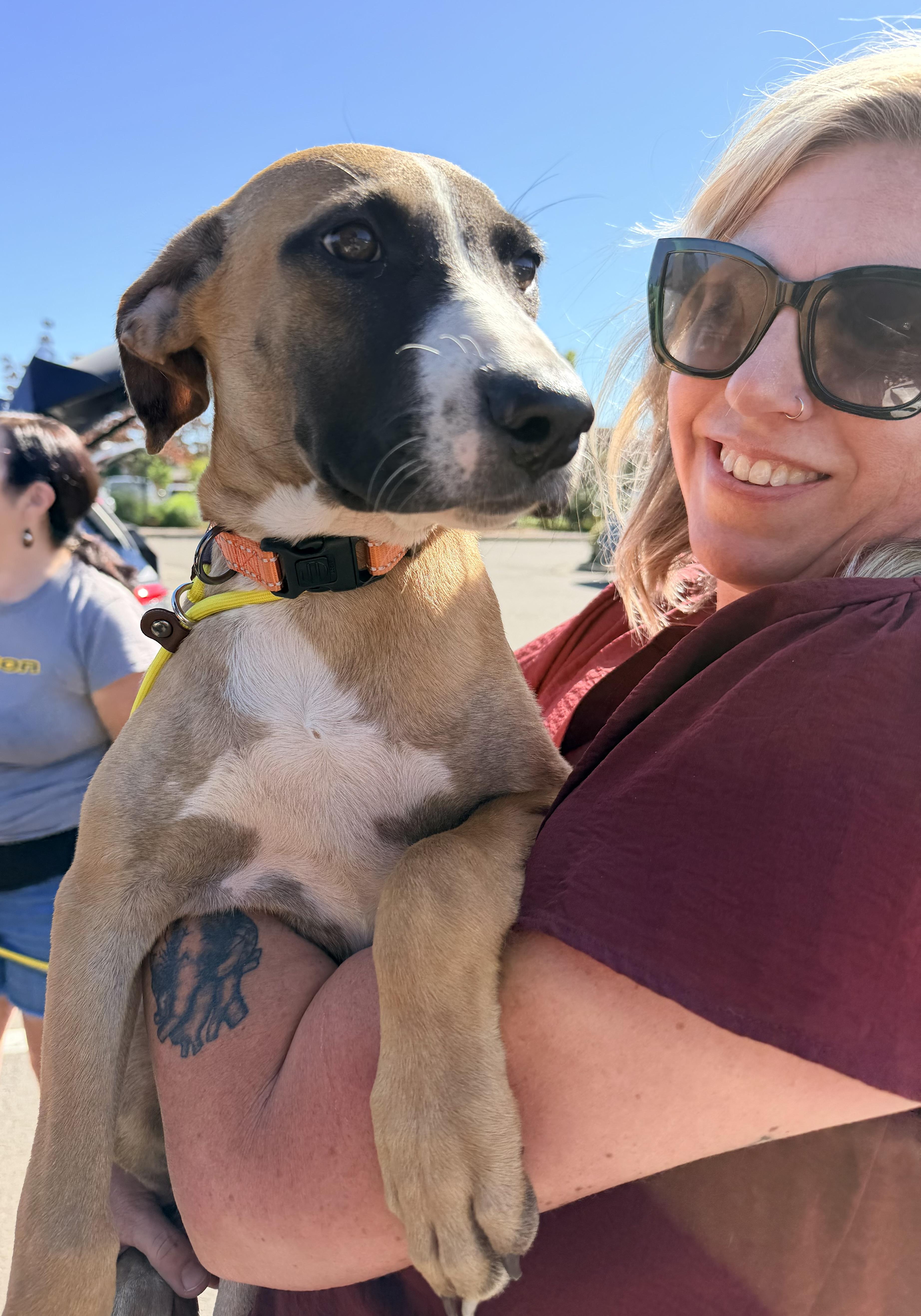Enlarge Reba, an adopted mixed breed in Beavercreek, OR image 2/6