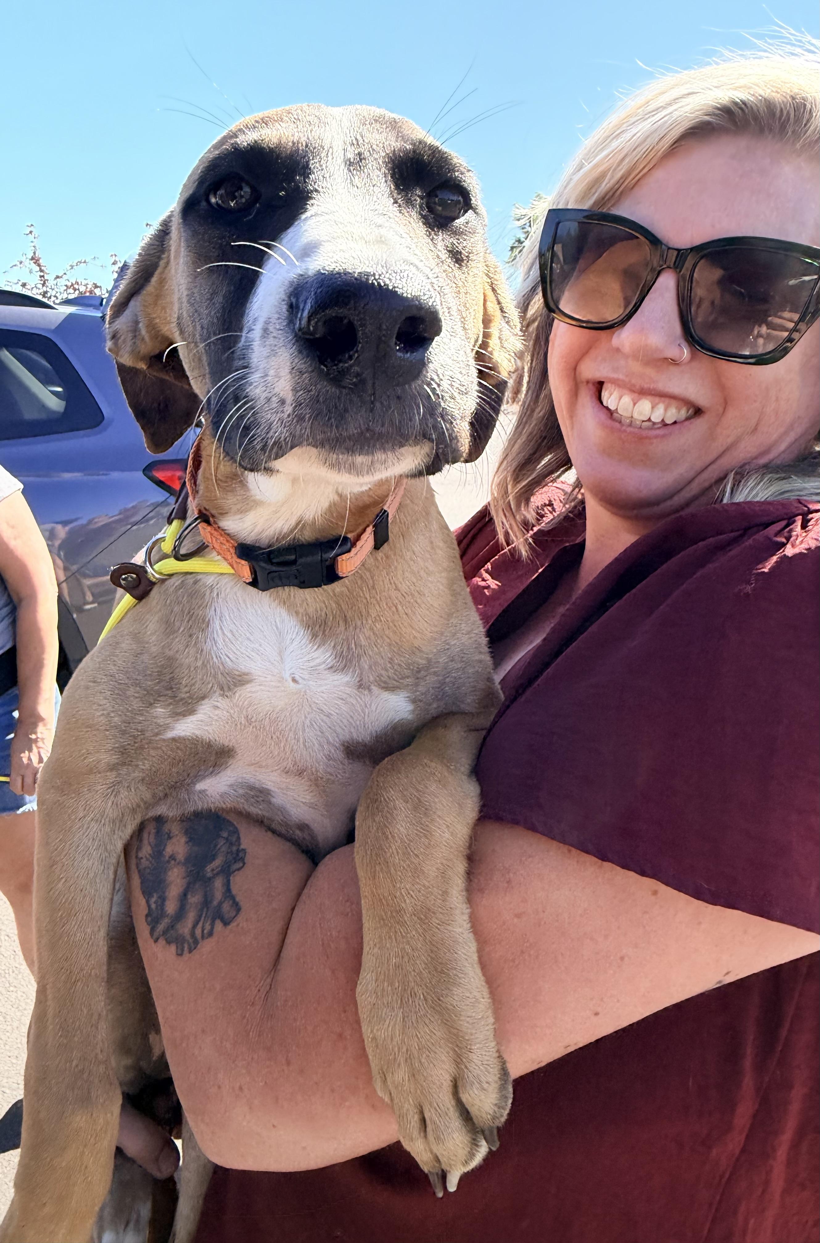 Enlarge Reba, an adopted mixed breed in Beavercreek, OR image 3/6